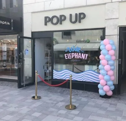 will and the elephant